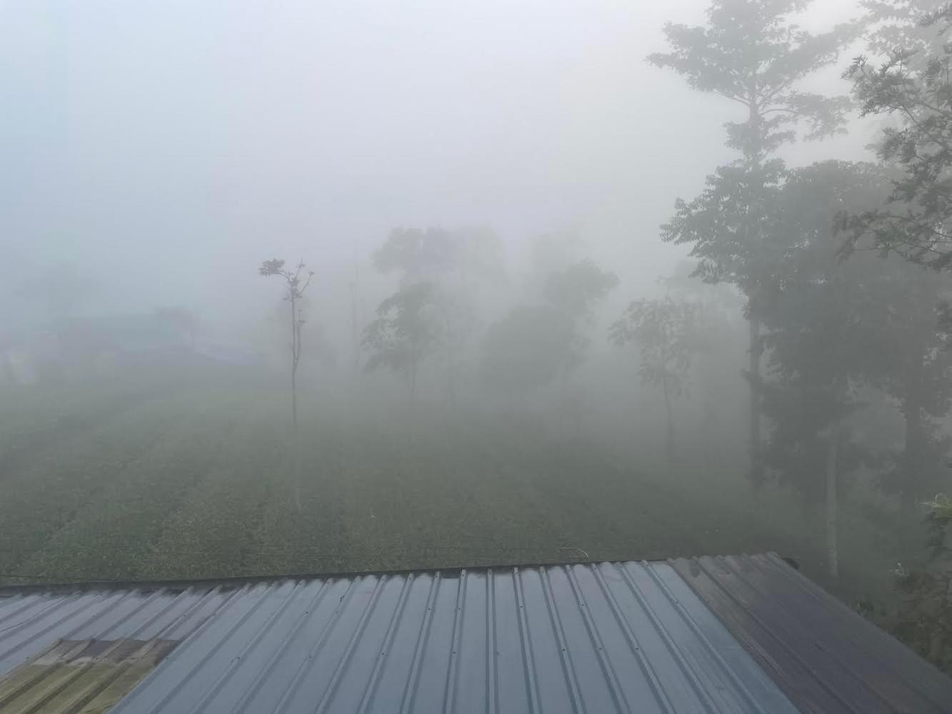 Best Mist ادوكي المظهر الخارجي الصورة
