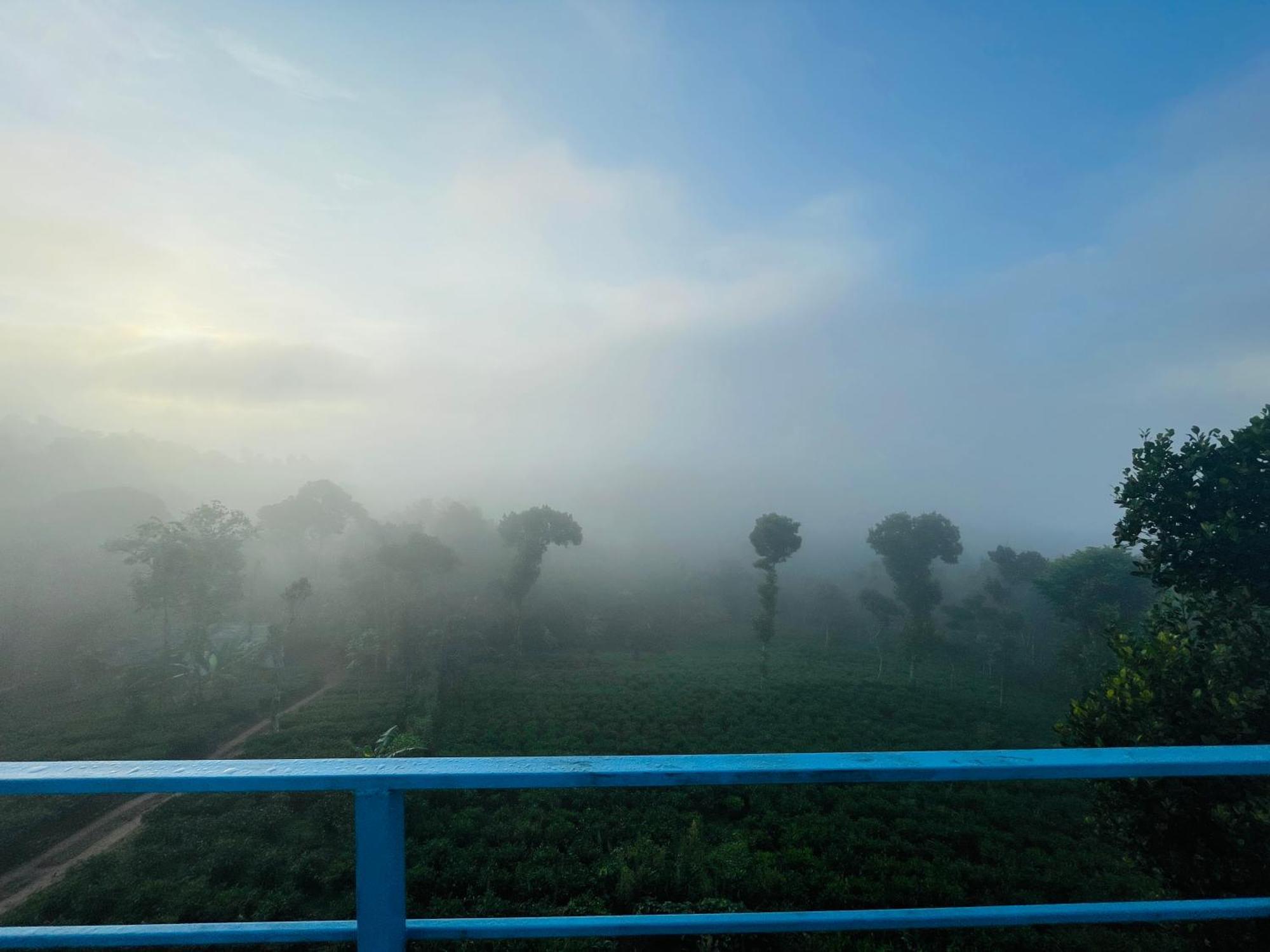 Best Mist ادوكي المظهر الخارجي الصورة