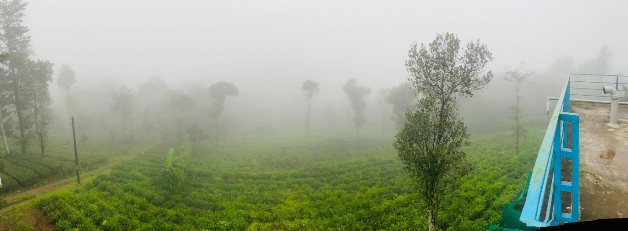 Best Mist ادوكي المظهر الخارجي الصورة