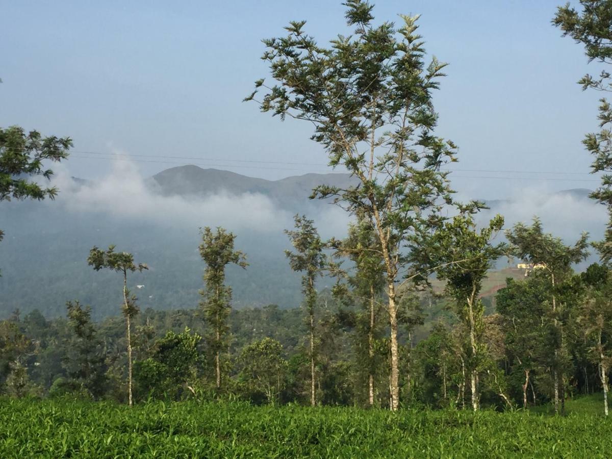Best Mist ادوكي المظهر الخارجي الصورة